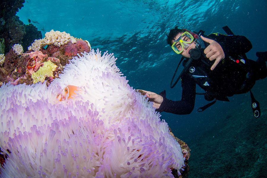 Civil engineering undergrad Andrew Melissas diving at the Great Barrier Reef during his semester studying abroad in Australia. (Photo Courtesy: Andrew Melissas)